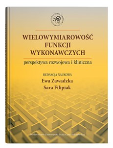 Bild von Wielowymiarowość funkcji wykonawczych perspektywa rozwojowa i kliniczna