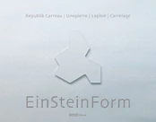EINSTEINFO... - Ksiegarnia w niemczech