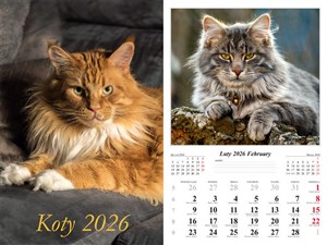 Obrazek Kalendarz 2026 ścienny 7-k Koty