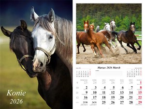 Bild von Kalendarz 2026 ścienny 7-k Konie