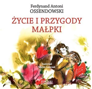 Bild von Życie i przygody małpki