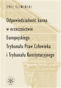 Polska książka : Odpowiedzi... - Emil Śliwiński