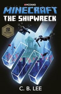 Obrazek Minecraft The Shipwreck
