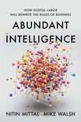 Abundant I... - Nitin Mittal -  fremdsprachige bücher polnisch 
