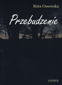 Obrazek Przebudzenie