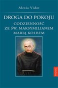 Polska książka : Droga do p... - Alexia Vidot