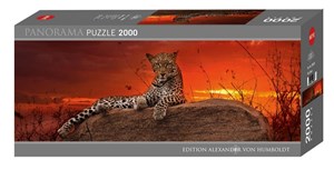Obrazek Puzzle 2000 Gepard (panorama)