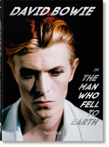Obrazek David Bowie The Man Who Fell to Earth