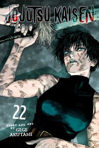 Bild von Jujutsu Kaisen, Vol. 22