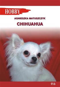 Obrazek Chihuahua