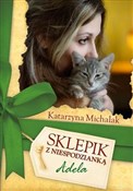 Polska książka : Sklepik z ... - Katarzyna Michalak
