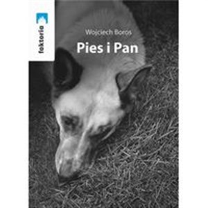 Bild von Pies i Pan