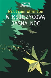 Bild von W księżycową jasną noc