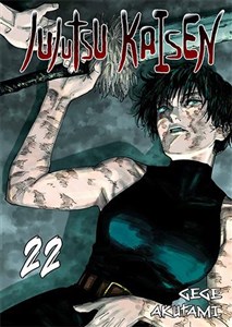 Bild von Jujutsu Kaisen. Tom 22