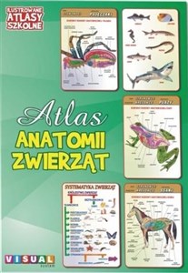 Obrazek Ilustrowany atlas szkolny. Atlas anatomii zwierząt