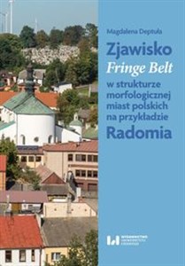 Bild von Zjawisko Fringe Belt w strukturze morfologicznej miast polskich na przykładzie Radomia