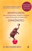 Mindfulnes... - Chozen Jan Bays - Ksiegarnia w niemczech
