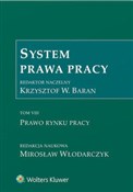 System Pra... - buch auf polnisch 