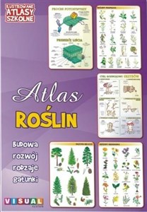 Obrazek Ilustrowany atlas szkolny. Atlas roślin