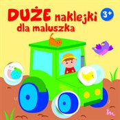 Polska książka : duże nakle... - Różni