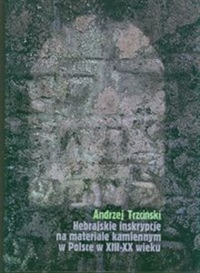 Obrazek Hebrajskie inskrypcje na materiale kamiennym