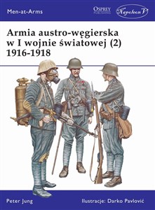 Bild von Armia austro-węgierska w I Wojnie Światowej 1916-1918. Tom 2