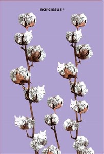 Bild von Teczka A4 Cotton