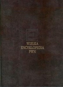 Bild von Wielka encyklopedia PWN Tom 7