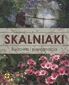 Skalniaki ... - Angela Beck - buch auf polnisch 