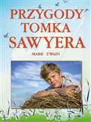 Polska książka : Przygody T... - Mark Twain