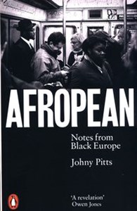 Bild von Afropean Notes from Black Europe