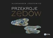 Przekroje ... - Aleksander Józefowicz -  Polnische Buchandlung 