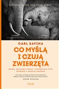 Co myślą i... - Carl Safina -  fremdsprachige bücher polnisch 