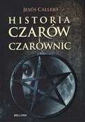 Polska książka : Historia c... - Jesus Callejo