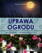 Uprawa ogr... - Regina Engelke - buch auf polnisch 