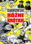 Polnische buch : Strefa Kom... - Ryszard Dąbrowski
