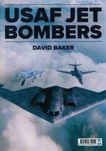 Obrazek USAF Jet Bombers