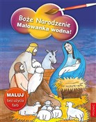 Polska książka : Boże Narod... - Halina Świrska