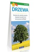 Drzewa - Opracowanie Zbiorowe -  Polnische Buchandlung 