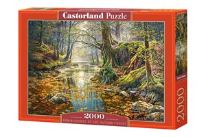 Bild von Puzzle Reminiscence of the Autumn Forest 2000 C-200757