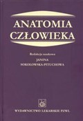 Polnische buch : Anatomia c...