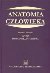 Obrazek Anatomia człowieka