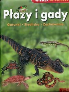 Bild von Wiedza w pigułce Płazy i gady