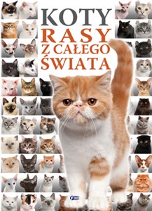 Bild von Koty rasy z całego świata