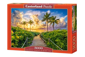 Bild von Puzzle 3000 Colorful Sunrise in Miami, USA