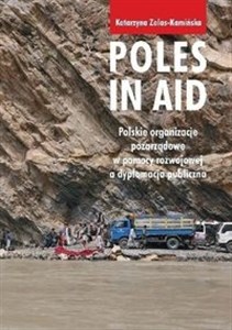 Obrazek Poles in Aid. Polskie organizacje pozarządowe w pomocy rozwojowej a dyplomacja publiczna