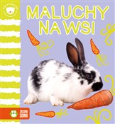 Polnische buch : Maluchy na... - Opracowanie Zbiorowe