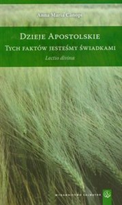 Obrazek Dzieje apostolskie Tych faktów jesteśmy świadkami Lectio divina