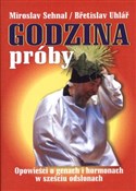 Polska książka : Godzina pr... - Miroslav Sehnal, Bretislav Uhlar