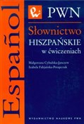 Słownictwo... - Małgorzata Cybulska-Janczew, Izabela Fabjańska-Potapczuk - Ksiegarnia w niemczech